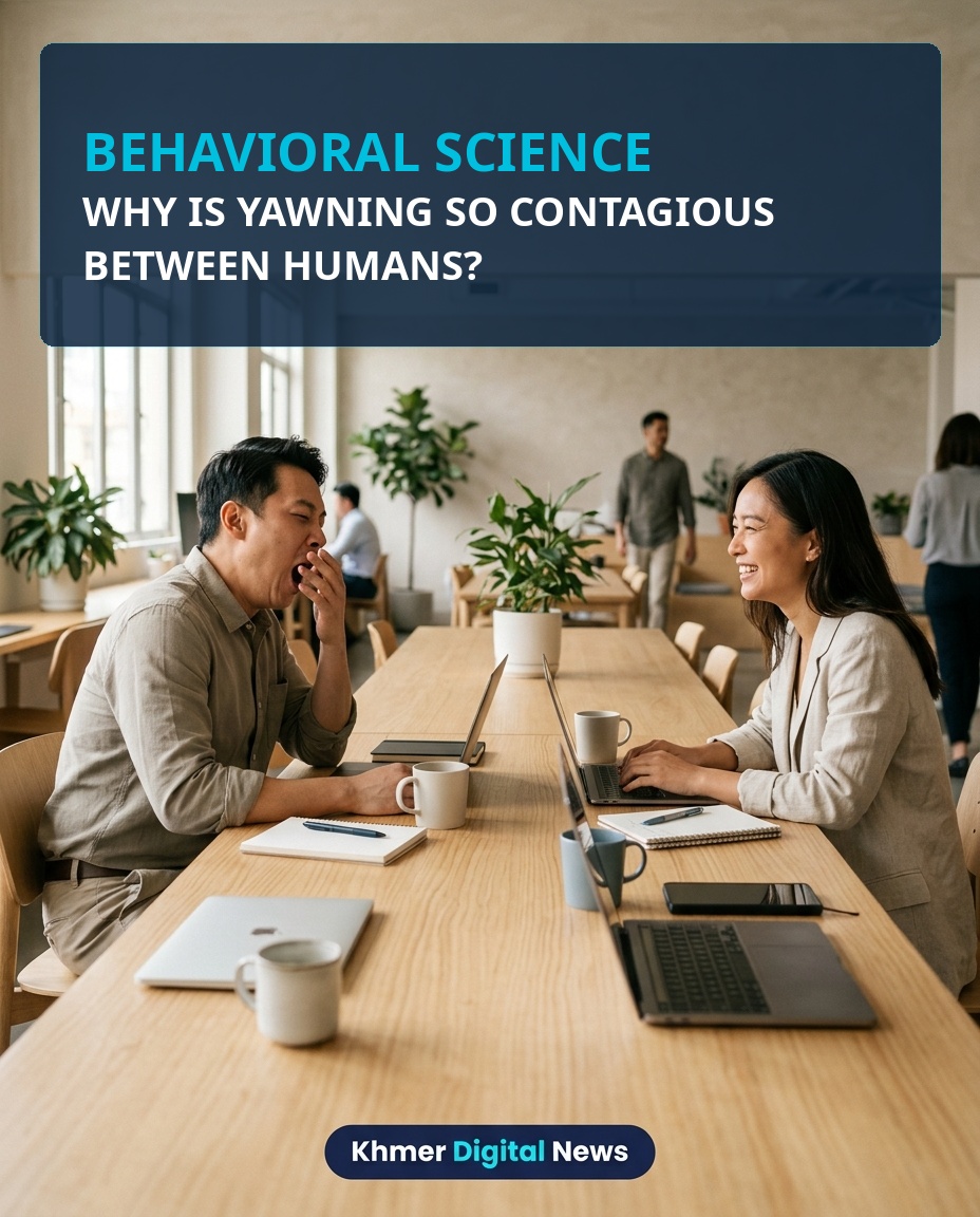 Why Is Yawning So Contagious? The Intriguing Intersection of Mirror Neurons and Social Empathy